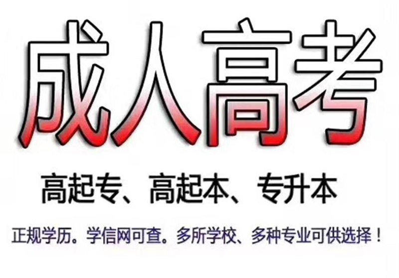 学历提升：为职场未来投资