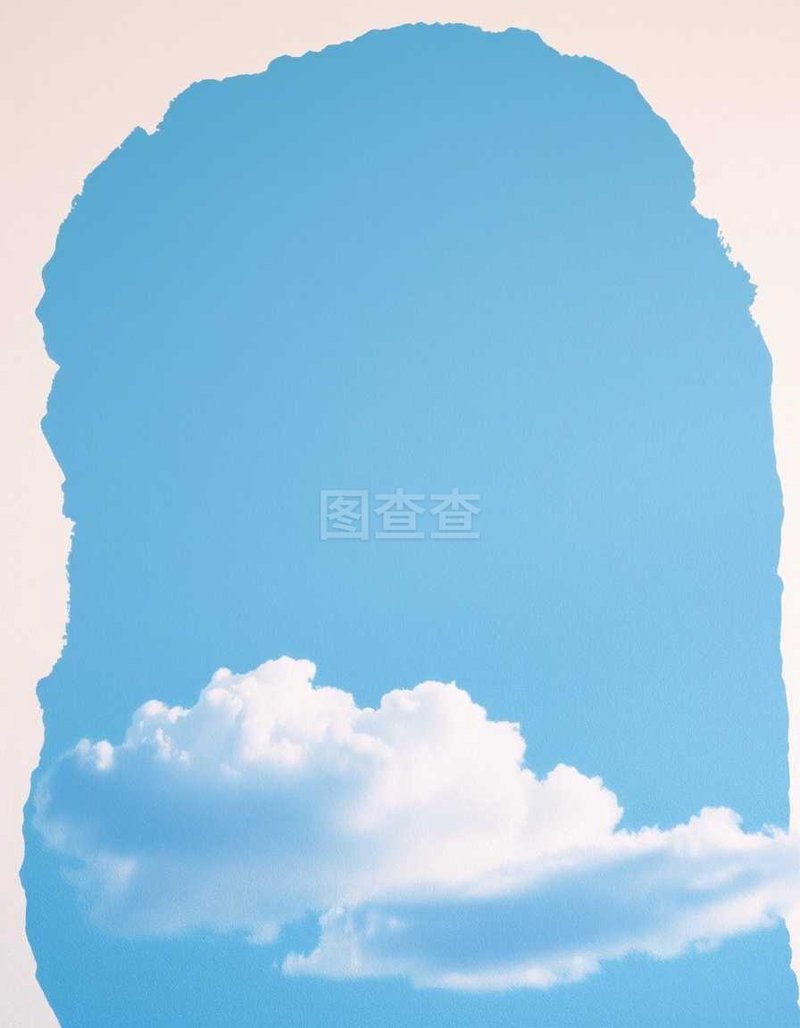 学历提升：破茧成蝶之路